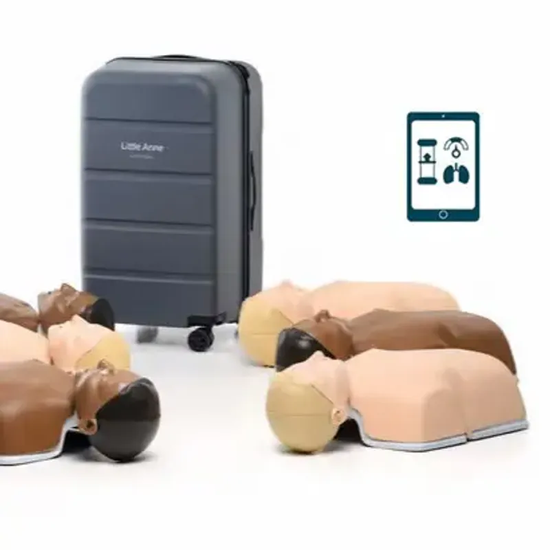 Little Anne kombo 6-pakk