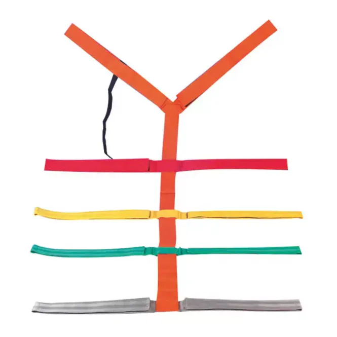 Hovedbilde Spiderstrap Lifeguard